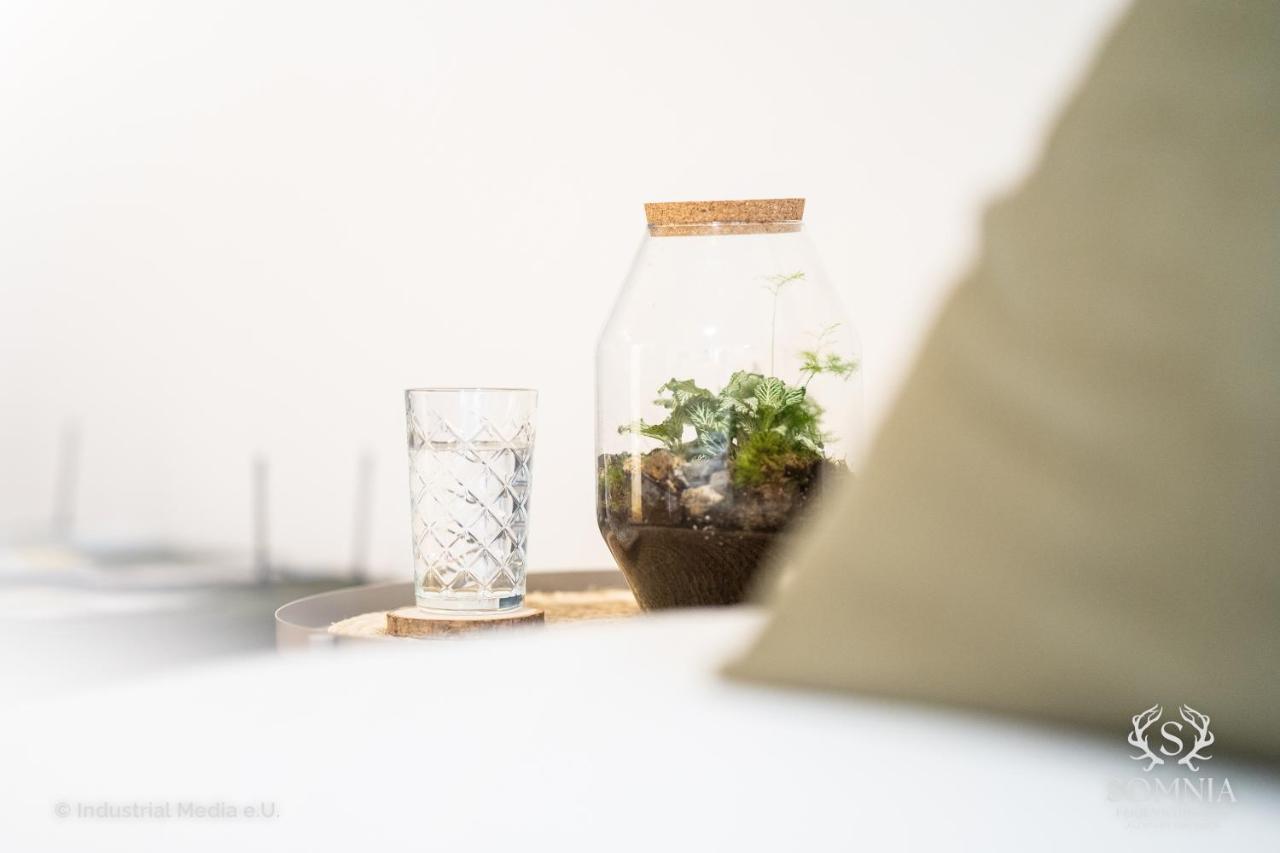 Ferienwohnung Somnia - Altstadt Gmunden Exteriér fotografie